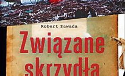 Dlaczego polskie samoloty spadają