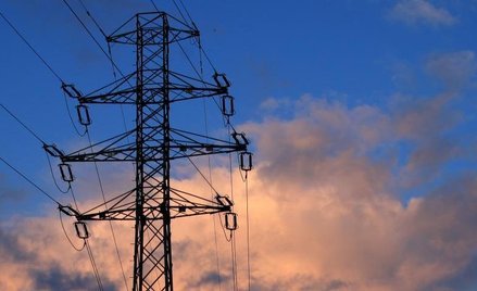 Trudny segment ma swoje perełki. Analitycy typują