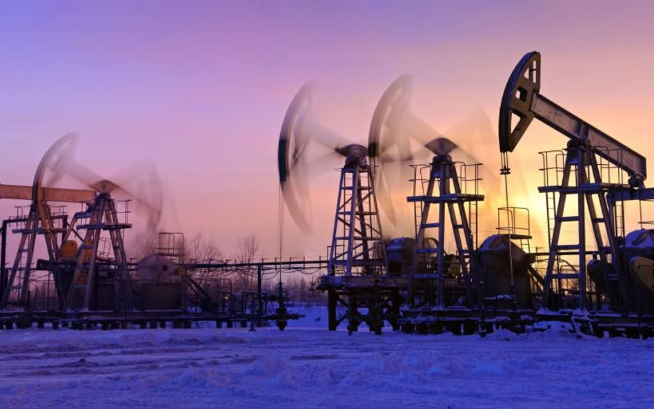 Sankcje wstrzymują Gazprom i Łukoil
