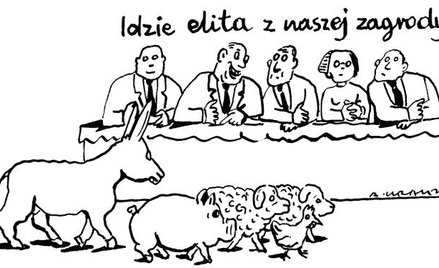 Andrzej Krauze: Komentarz rysunkowy