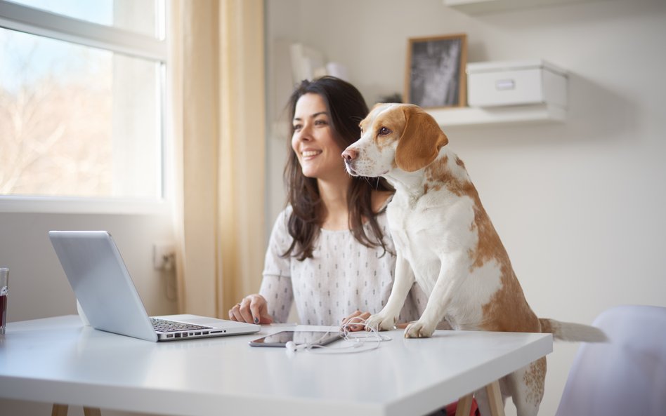 Większość kobiet woli pracę w trybie home office niż w biurze.