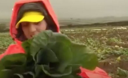 Brytyjczycy nie chcą pracować jak migranci