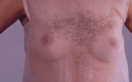 Jana Sterbak, Dystrakcja, 1992/1995 obiekt, 92 × 150 × 110 cm