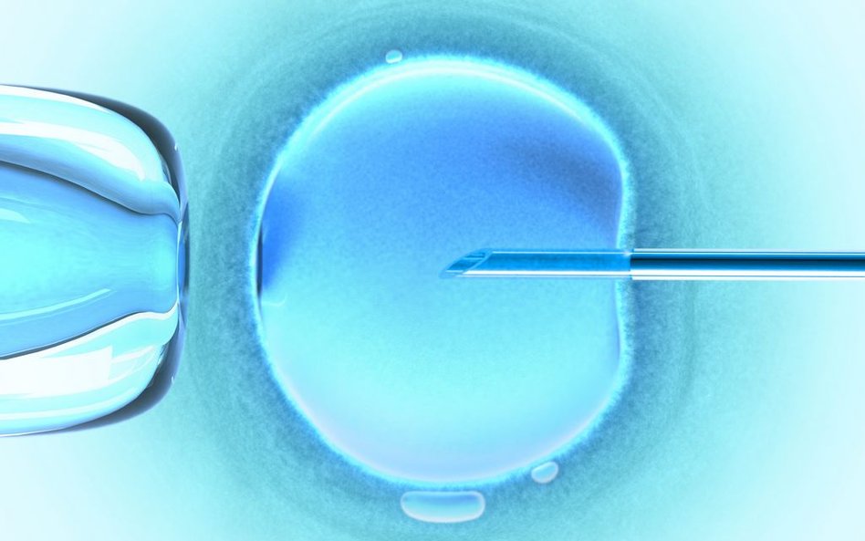 In vitro tylko dla małżeństw - nowy projekt w Sejmie