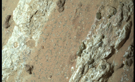 Zdaniem naukowców z NASA jedna z próbek z Marsa może posiadać potencjalną biosygnaturę
