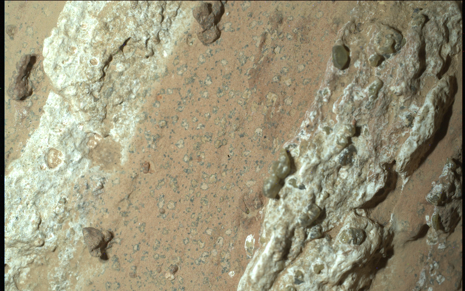 Zdaniem naukowców z NASA jedna z próbek z Marsa może posiadać potencjalną biosygnaturę