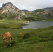 Hiszpania to też parki narodowe, na zdjęciu Picos de Europa na północy kraju