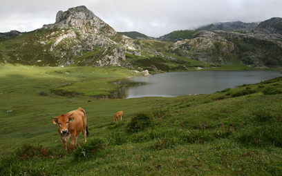 Hiszpania to też parki narodowe, na zdjęciu Picos de Europa na północy kraju