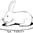 Komentarz rysunkowy
