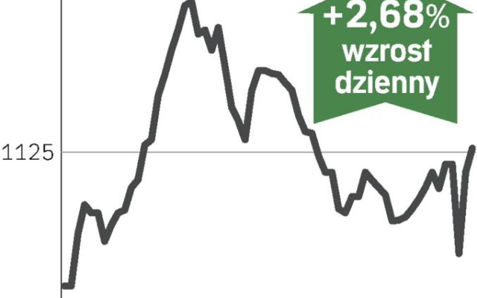 Obcięcie inwestycji nie zaszkodziło