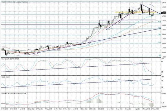 Wykres dzienny USDCN