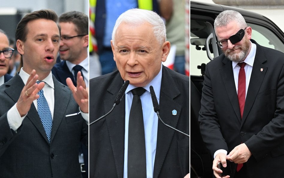 Krzysztof Bosak, Jarosław Kaczyński i Grzegorz Braun