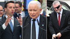 Krzysztof Bosak, Jarosław Kaczyński i Grzegorz Braun