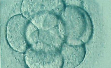 Replika ludzi coraz bliżej