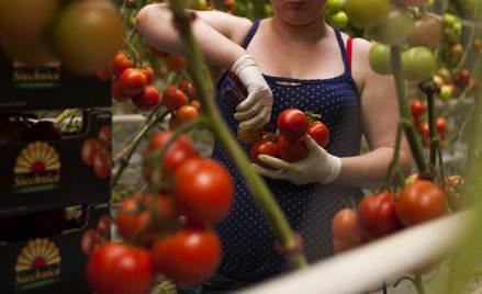 BCC radzi, jak zatrzymać Ukraińców w Polsce