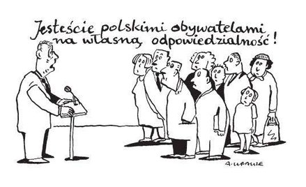 Rysuje Andrzej Krauze