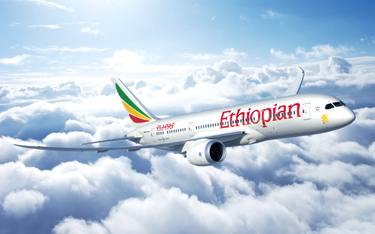 Tymczasowy raport o katastrofie Ethiopiana obciąża Boeinga