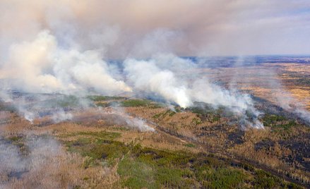 Pożary w Czarnobylu. Deszcz ratuje Ukrainę