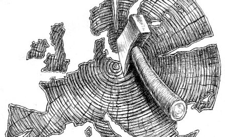 Jerzy Haszczyński o asymilacji imigrantów w społeczeństwie francuskim