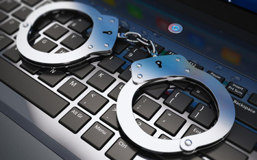 Przestępstwa komputerowe w 2015 roku