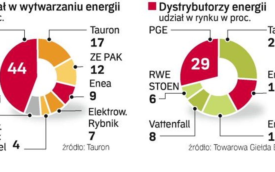 Rynek energii zdominowaŁo kilka koncernów. Enea jest trzecią spółką energetyczną w kraju. Jej udział