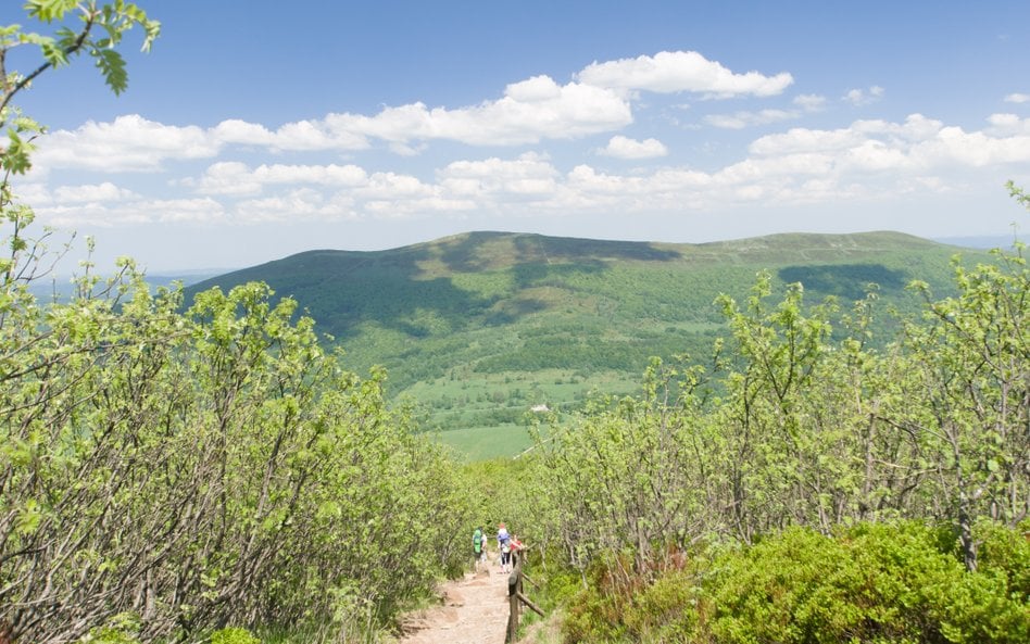 Tegoroczna majówka zapowiada się słonecznie i ciepło