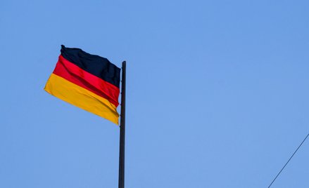 W ostatnich sondażach AfD uzyskuje poparcia na poziomie 18-20 proc.