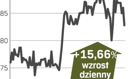 Groclin drożeje na giełdzie