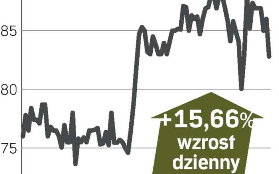 Groclin drożeje na giełdzie