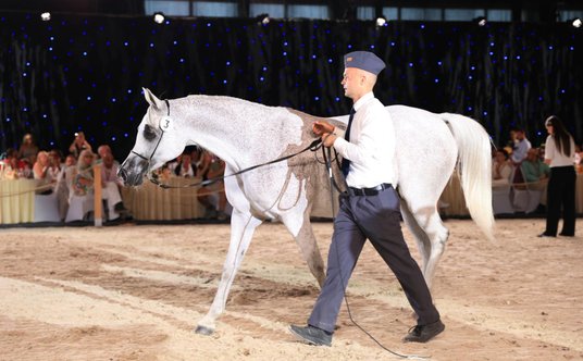 Adelita z SK Janów Podlaski