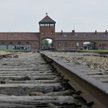 Więcej Brytyjczyków przyjedzie do Auschwitz. Touroperator ma plan