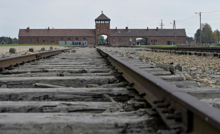 Artefakty z Auschwitz znów na aukcji w Niemczech. Polski rząd tym razem nie reaguje