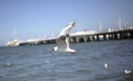 KE podkreśla, że w Polsce bardzo wiele rzek uchodzi do Morza Bałtyckiego.