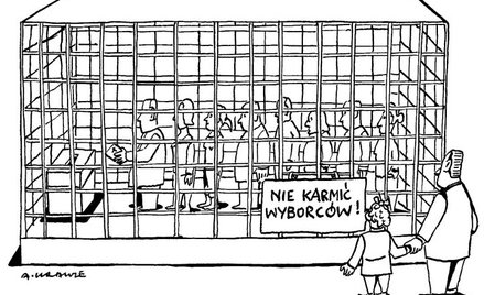 Rysuje Andrzej Krauze