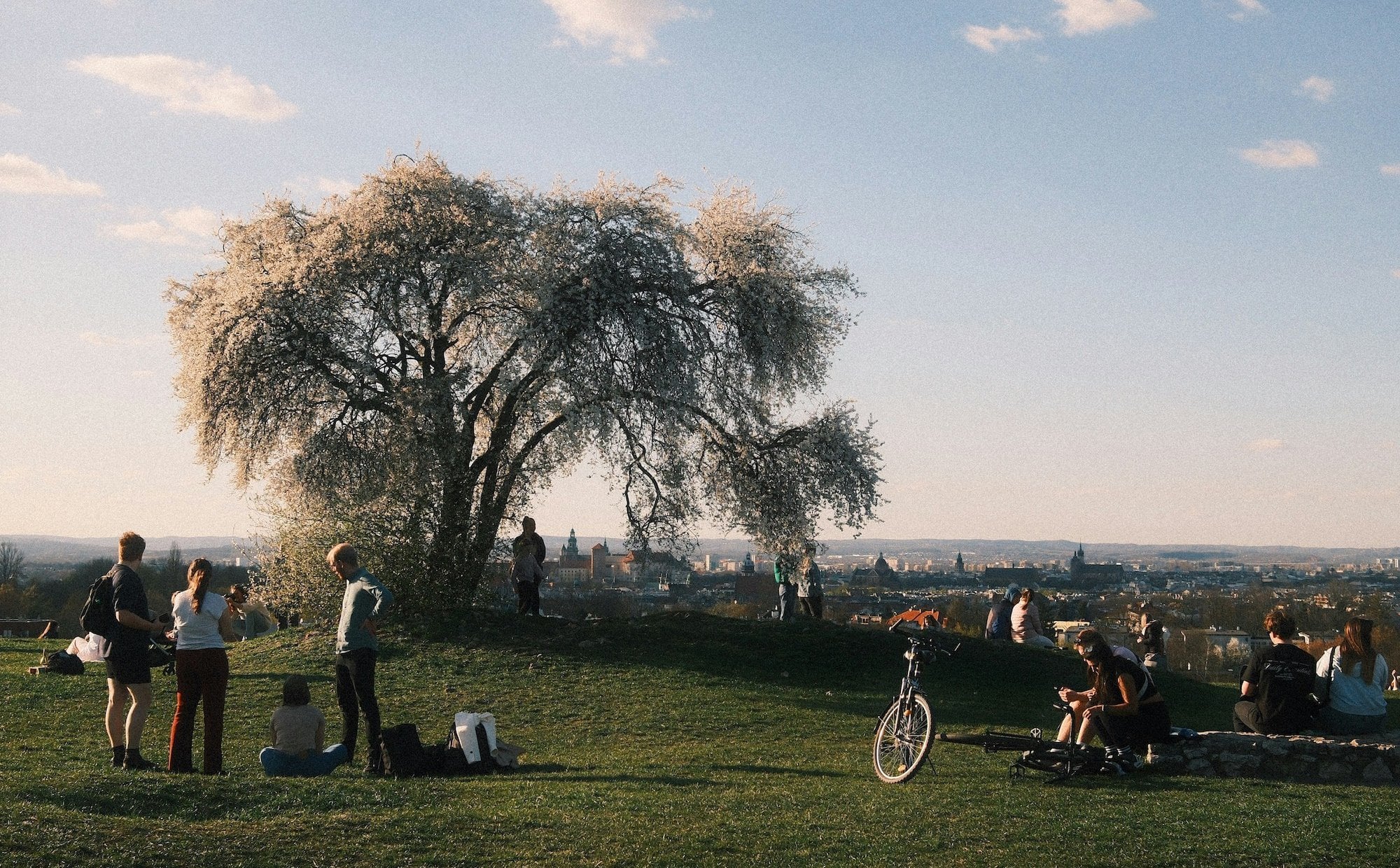Najbardziej zielone miasta na świecie. Polska w czołówce, zdecydowali mieszkańcy