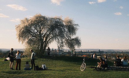 Kraków znalazł się w zestawieniu 20 najbardziej zielonych miast na świecie.