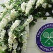 Wimbledonu 2020 nie będzie