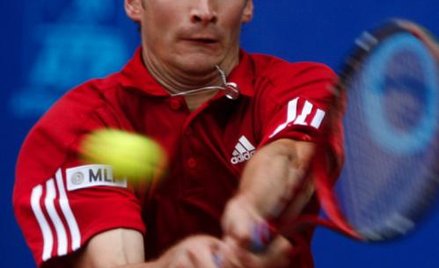 W cieniu szpaleru grabów