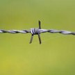 Działkę bez budynku komornik sprzeda szybciej
