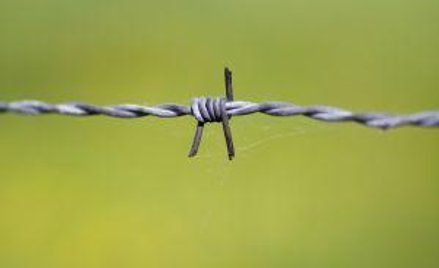 Sprzedaż działki przez inwestora nie jest czynnością sporadyczną