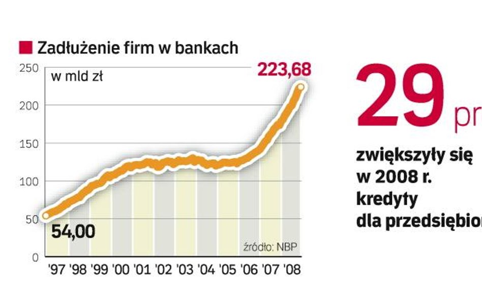 Rząd chce zwiększenia kredytów dla firm. Banki dostaną to, co chciały, czyli wsparcie państwa. Rząd 