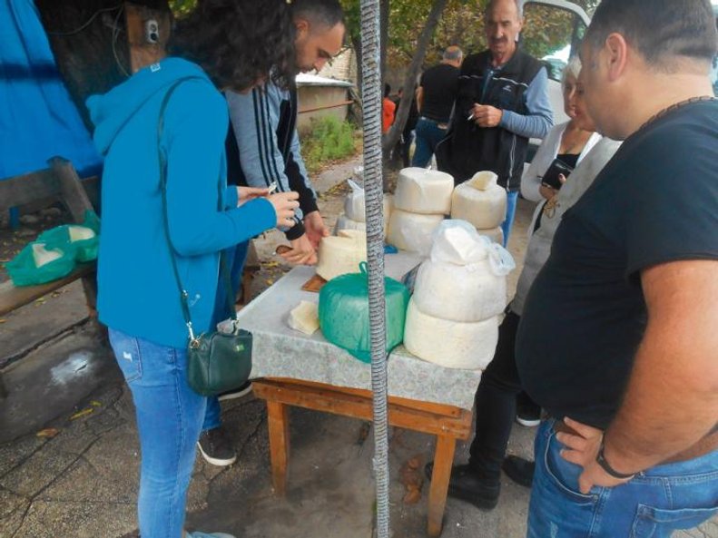 Najlepszy owczy ser w Kachetii. Gruzińskie rolnictwo ma wiele do zaoferowania.