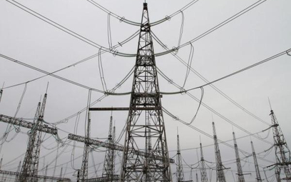 Ostrołęckie puzzle finansowe Enei i Energi