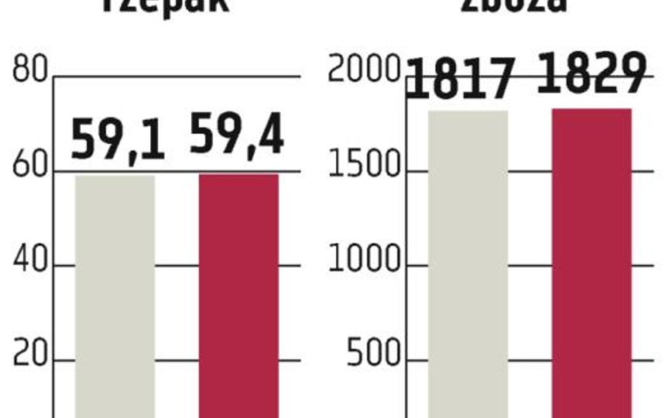 Kruszwica, Kernel: Ceny zbóż mogą być wysokie