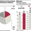 Energa: Ruszyły przygotowania do energetycznego debiutu