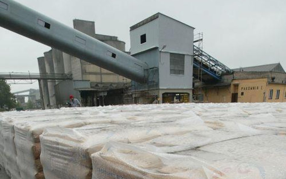 Według UOKiKu Lafarge Cement, Górażdże Cement, Grupa Ożarów, Cemex Polska, Dyckerhoff Polska oraz Ce