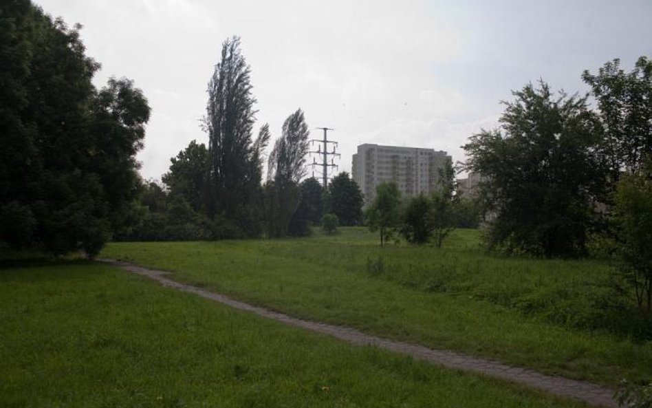 Spodziewane dalsze obniżki cen