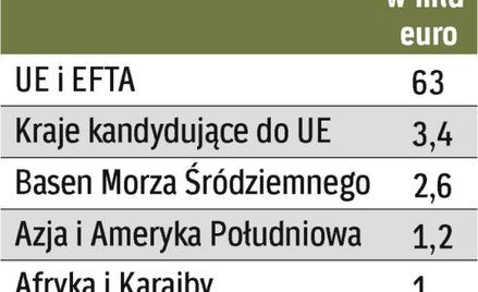 Europejski Bank Inwestycyjny pożycza pieniądze na projekty infrastrukturalne. Wspiera też programy u
