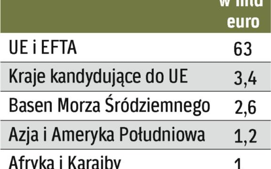 Europejski Bank Inwestycyjny pożycza pieniądze na projekty infrastrukturalne. Wspiera też programy u