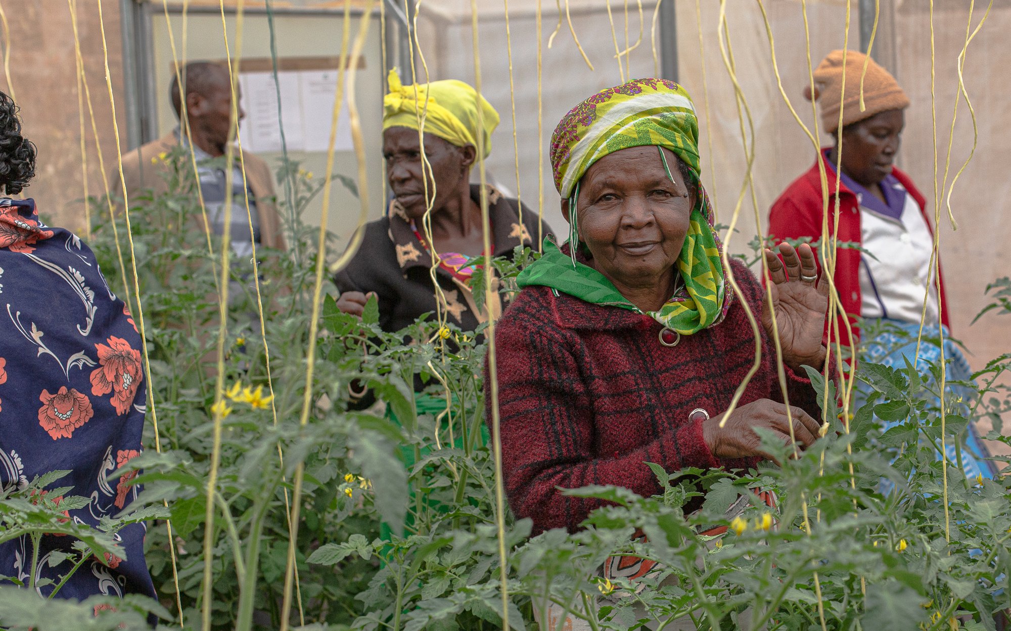 Afryka: Lokalne innowacje odpowiedzią na zmiany klimatu